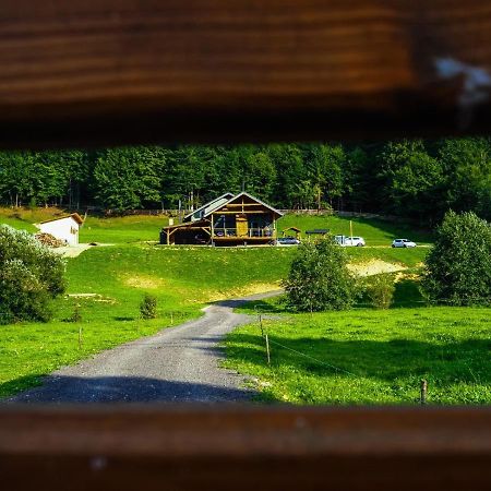 Valley House Cabana Cu Priveliste De Vis Sita Buzăului 外观 照片