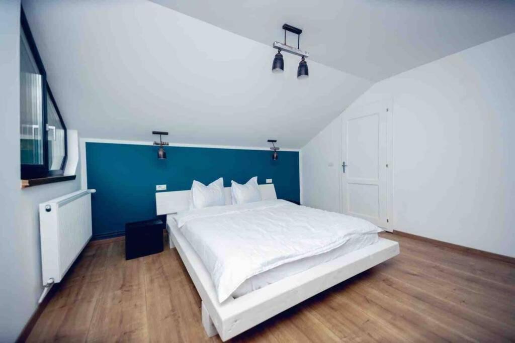 Valley House Cabana Cu Priveliste De Vis Sita Buzăului 外观 照片