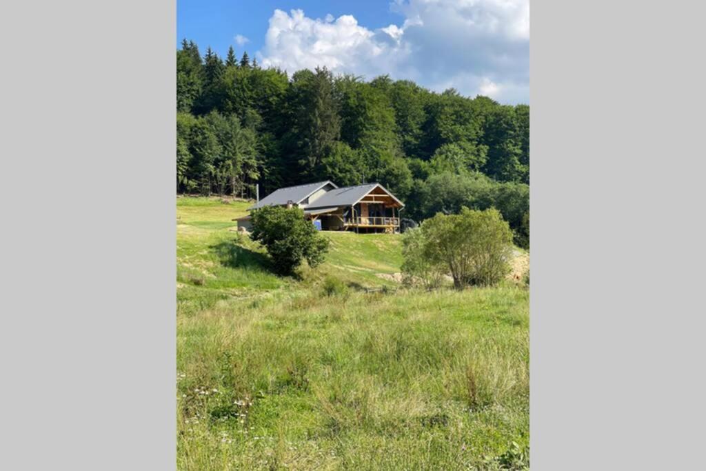Valley House Cabana Cu Priveliste De Vis Sita Buzăului 外观 照片