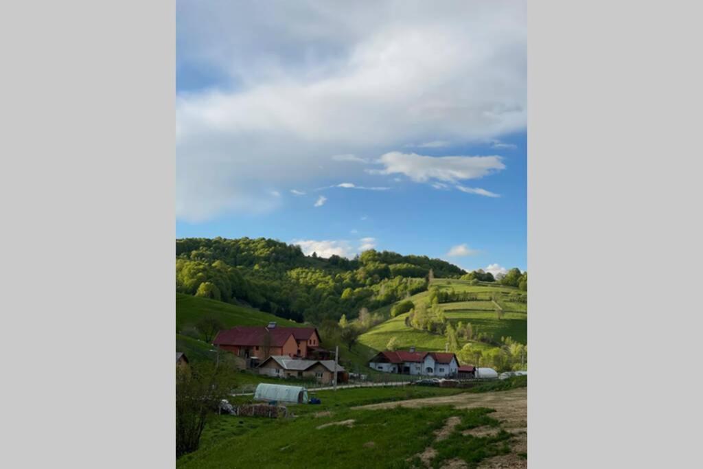 Valley House Cabana Cu Priveliste De Vis Sita Buzăului 外观 照片