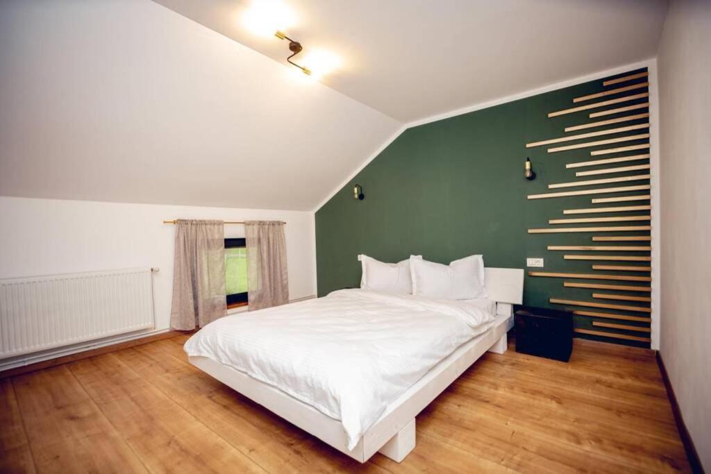 Valley House Cabana Cu Priveliste De Vis Sita Buzăului 外观 照片